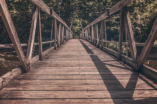 Use Data to Generate Actionable Results